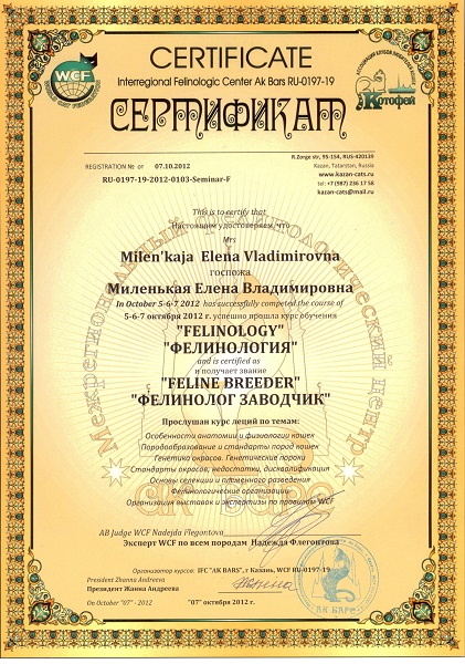 gallery/web сертификат фелинолога